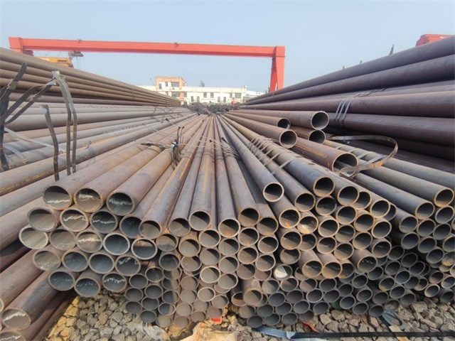 IMG_20230401_153522.jpg IMG_20230401_153522.jpg