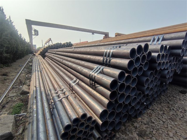 IMG_20230401_153618.jpg IMG_20230401_153618.jpg