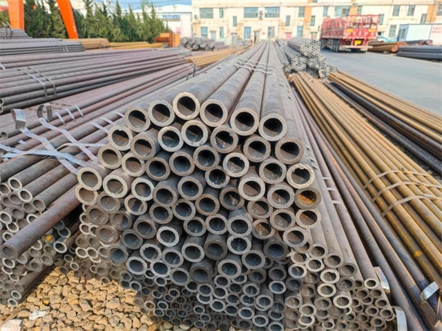 IMG_20230401_155015.jpg IMG_20230401_155015.jpg