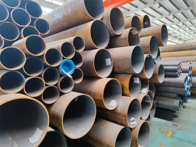 IMG_20230415_104059.jpg IMG_20230415_104059.jpg